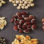 Unlocking Insights: The Benefits of Syndicated Market Research Reports