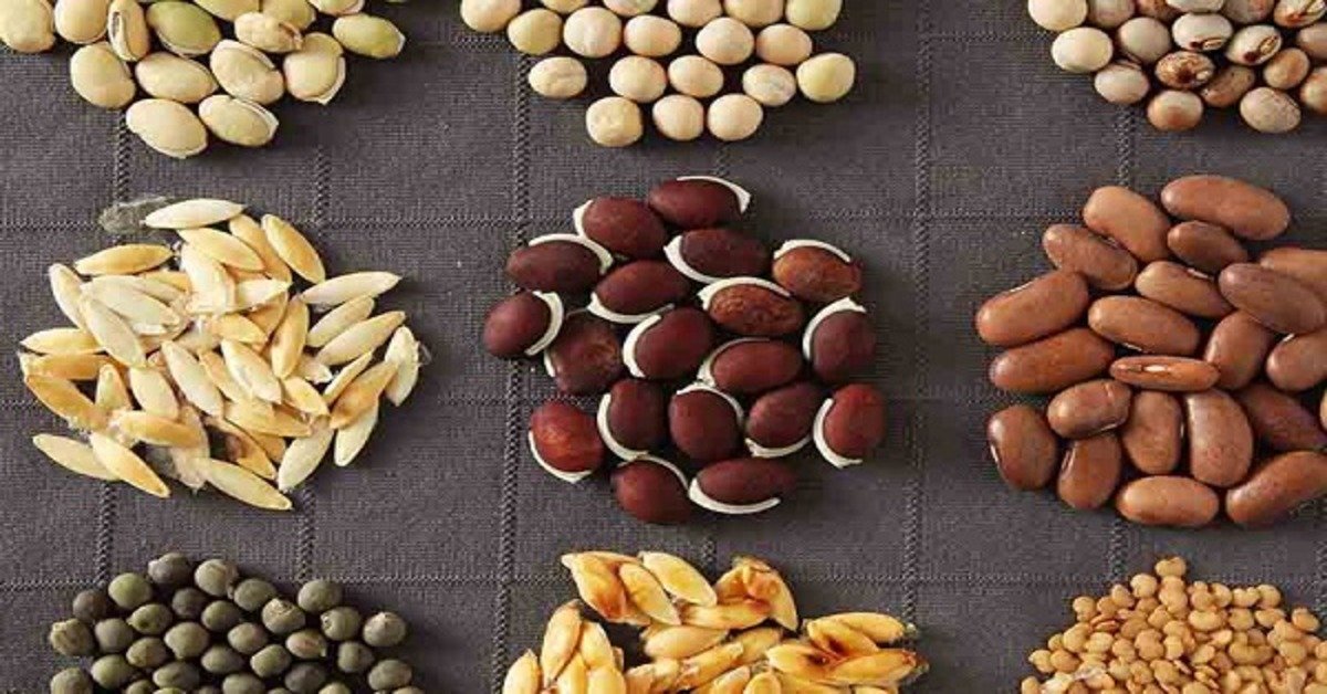 vegetable seed market