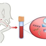 The Growing Landscape of Non-Invasive Prenatal Testing in the U.S.