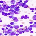 Razorpay Receives RBI Approval for Cross-Border Payment Aggregation