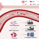 How Can Software Companies Survive AI Disruption?