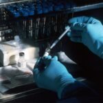 Top 10 Building and Construction Sectors Booming in the Next 5 Years